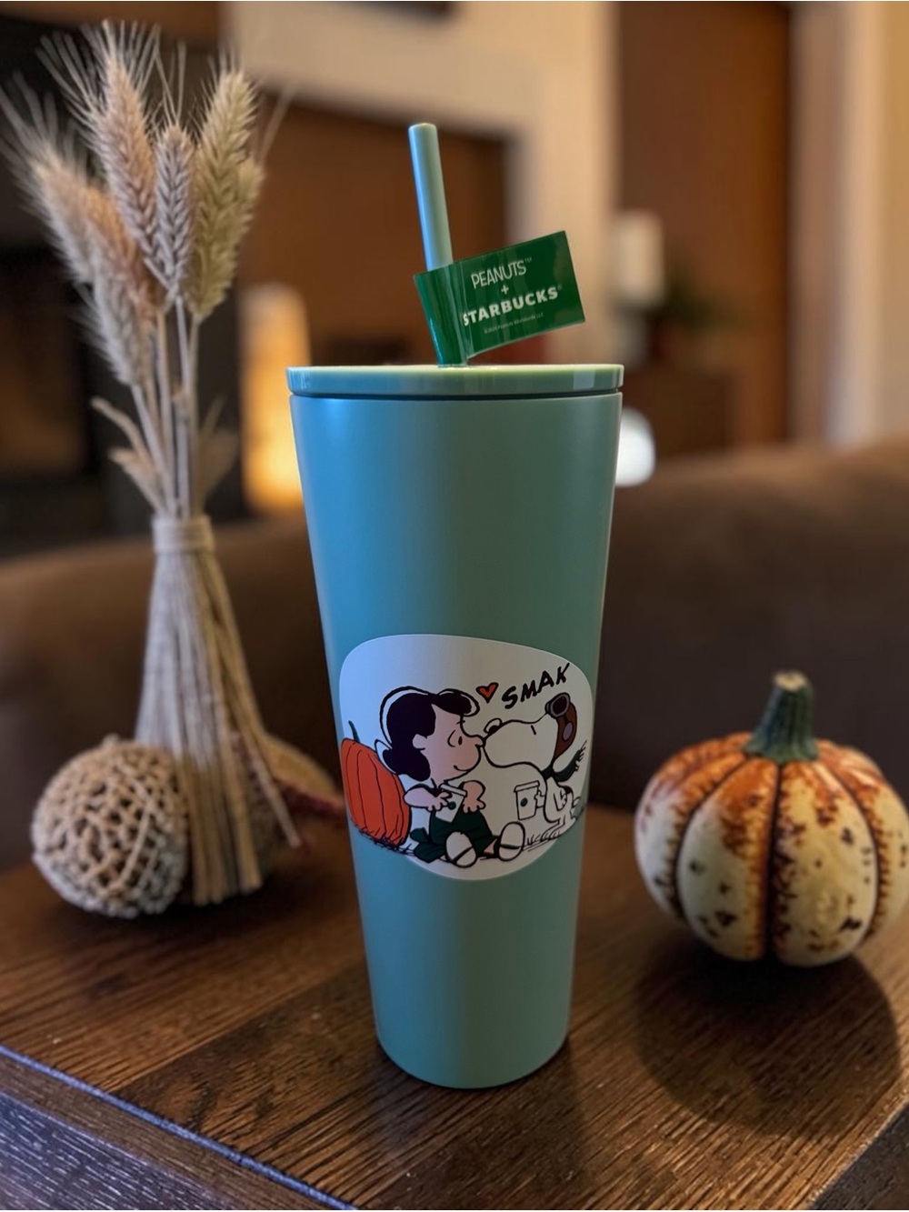 Starbucks Peanuts 2026 Special Edition Green Stainless Steel Tumbler w Straw NWT